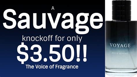 sauvage knock off